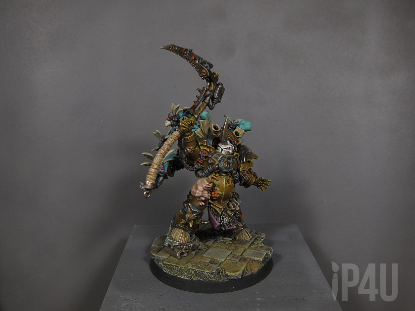 Typhus image 5