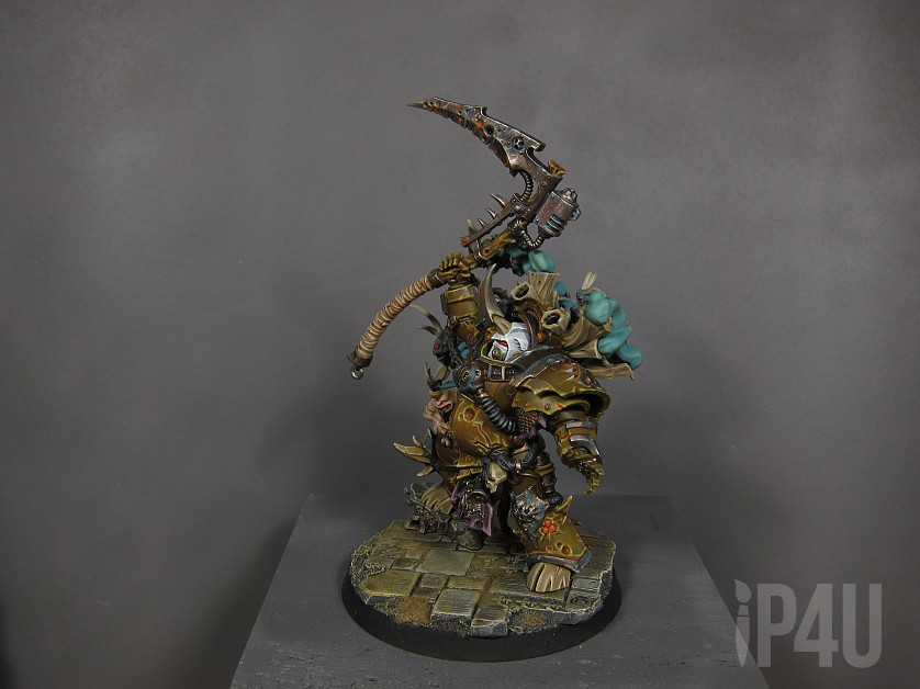 Typhus image 6