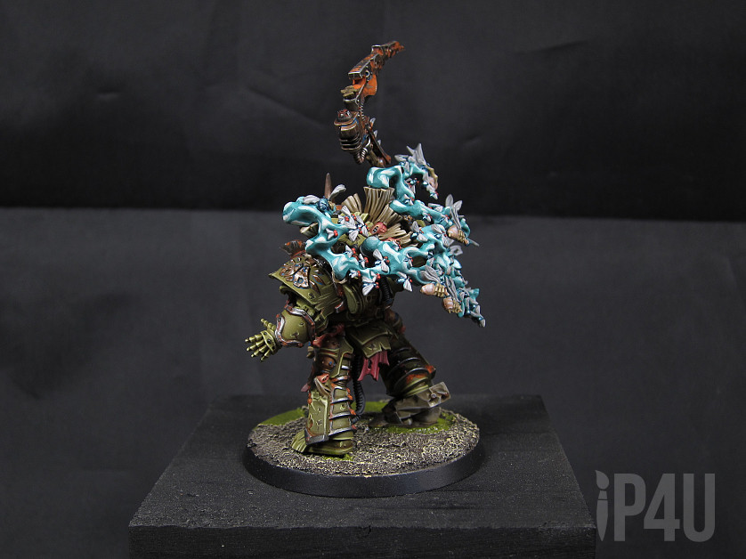 Typhus image 3