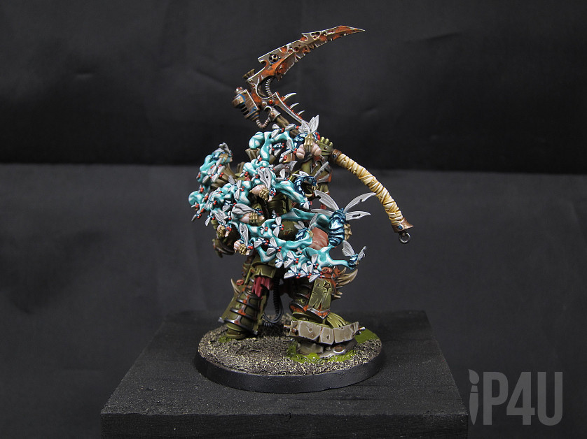 Typhus image 4