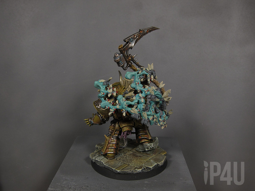 Typhus image 7