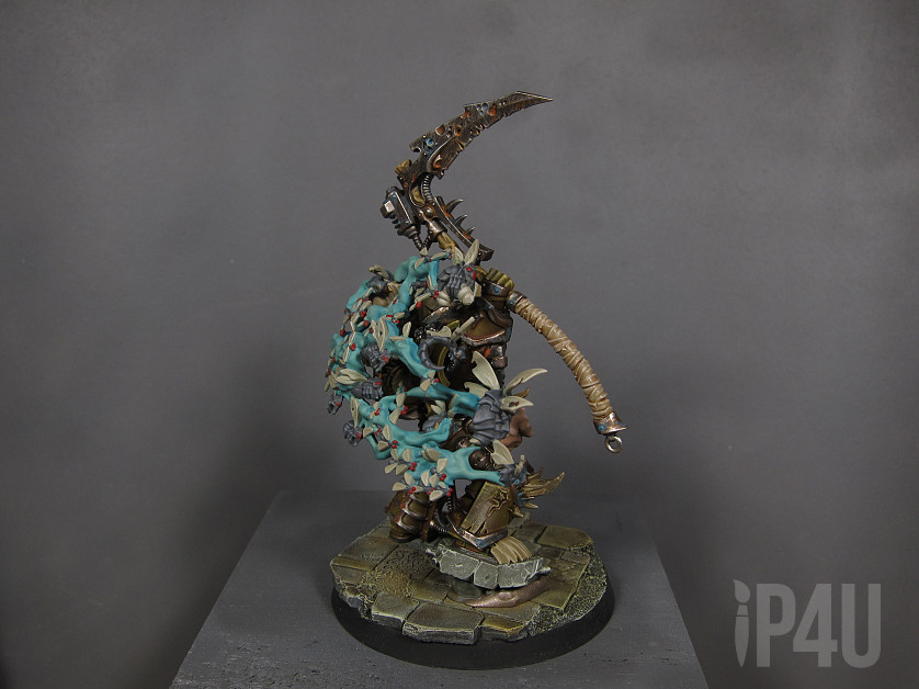 Typhus image 8