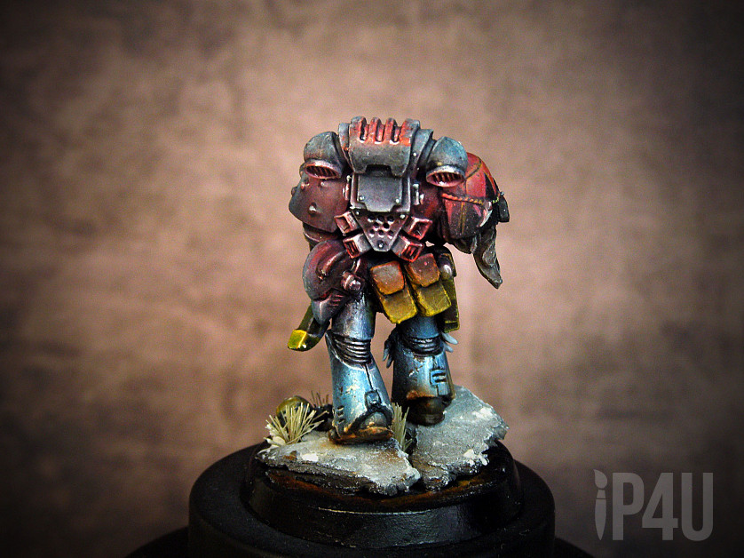 SPACE WOLVES GREY HUNTERS SQUAD image 4