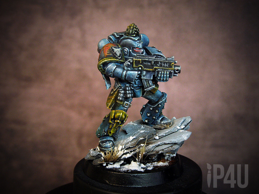 SPACE WOLVES GREY HUNTERS SQUAD image 7