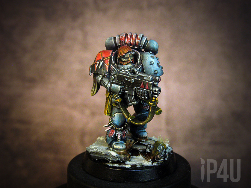 SPACE WOLVES GREY HUNTERS SQUAD image 3