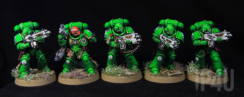 Spacemarines Primaris Army image 1