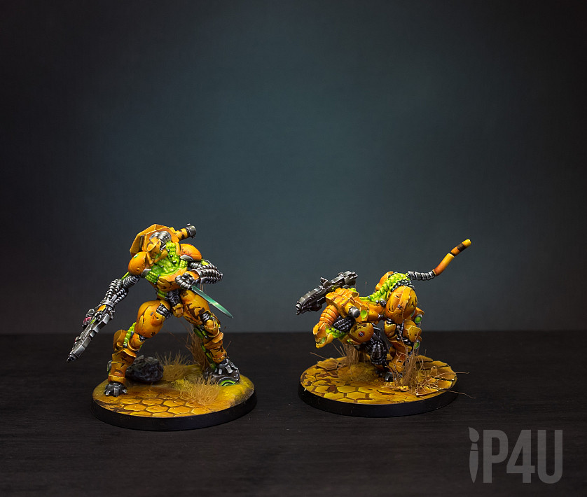 Infinity Corvus Belli Разное image 5