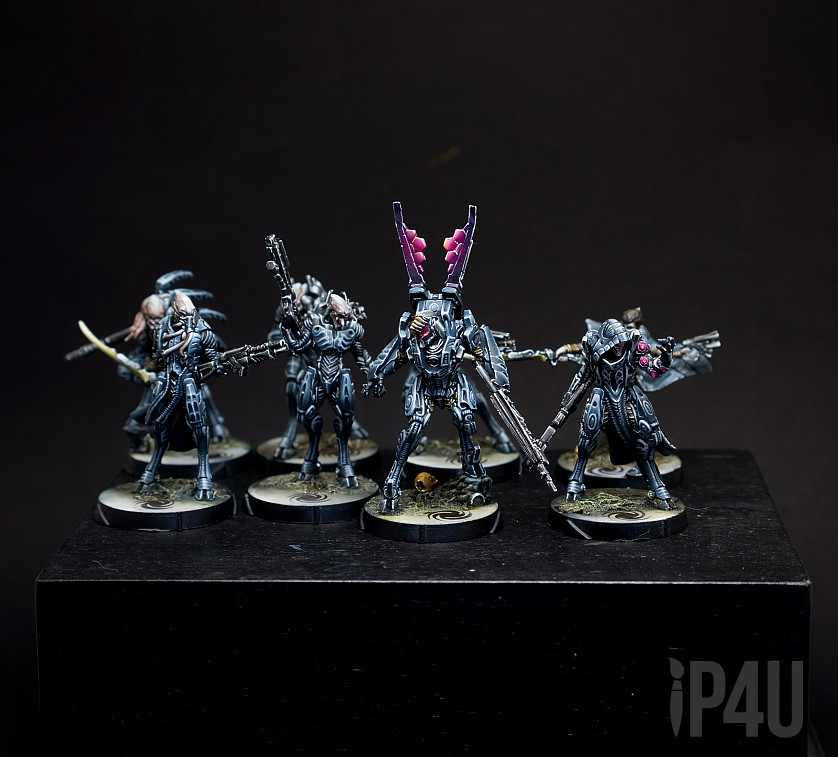 Infinity Corvus Belli Shisvastii image 2