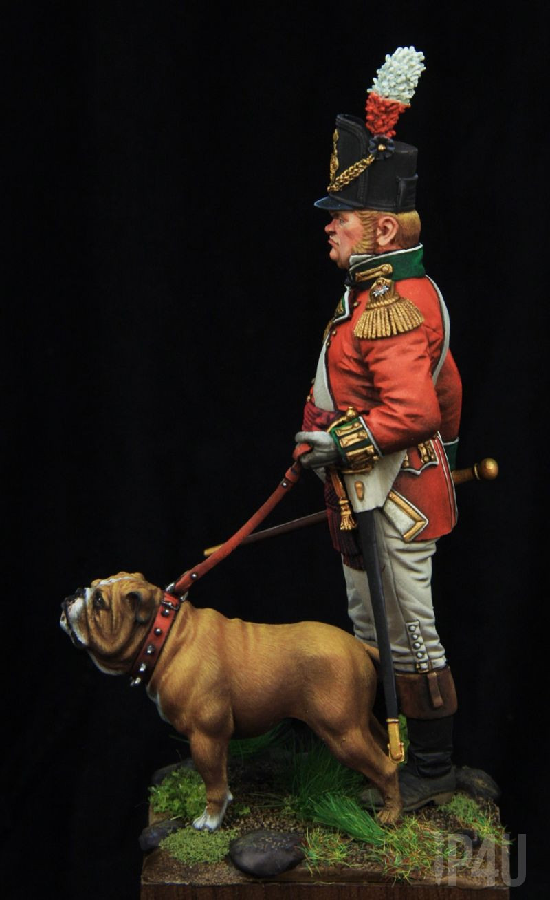 British Infantry Officer 1810, 75mm от Castle Miniatures, боксарт image 3