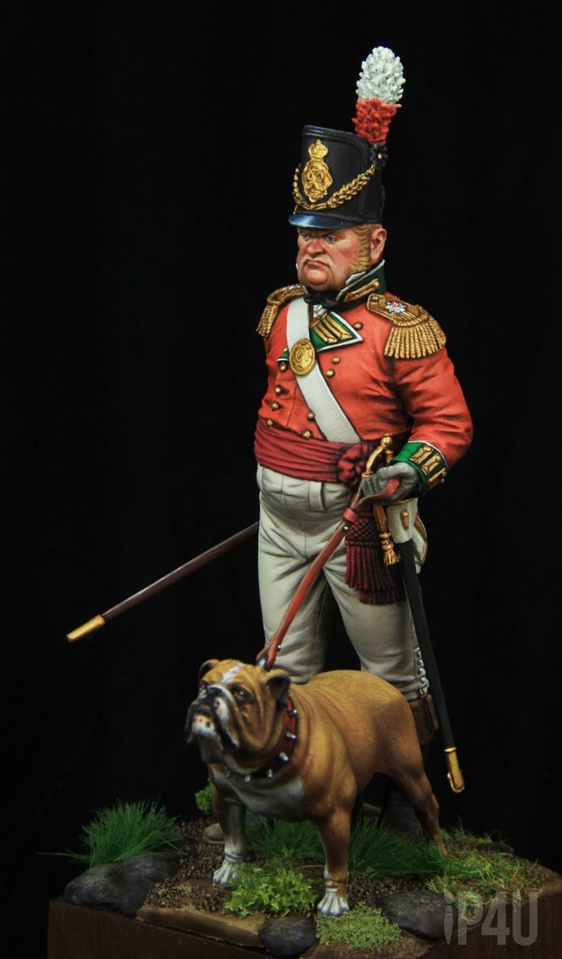 British Infantry Officer 1810, 75mm от Castle Miniatures, боксарт image 2