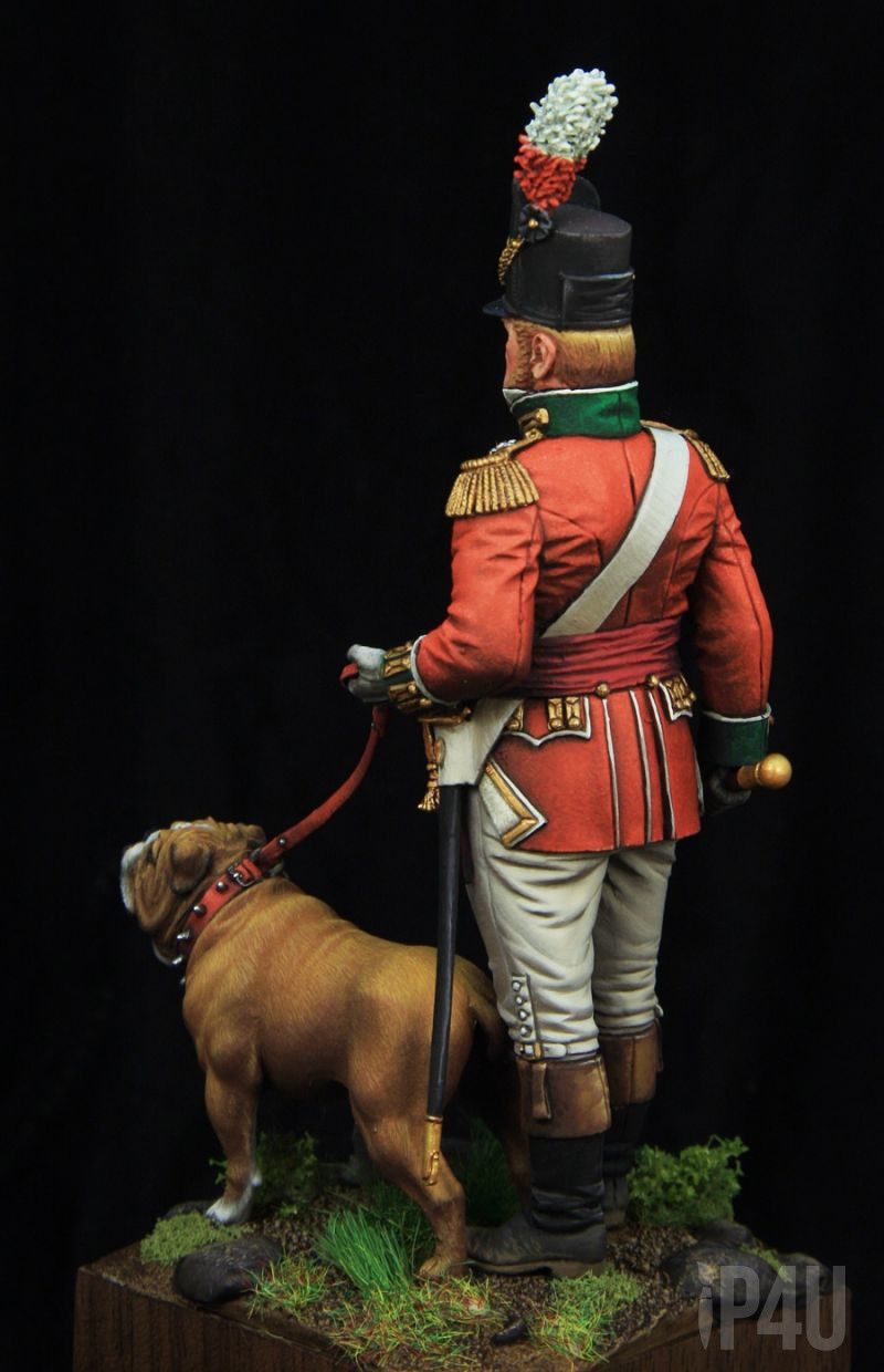 British Infantry Officer 1810, 75mm от Castle Miniatures, боксарт image 4