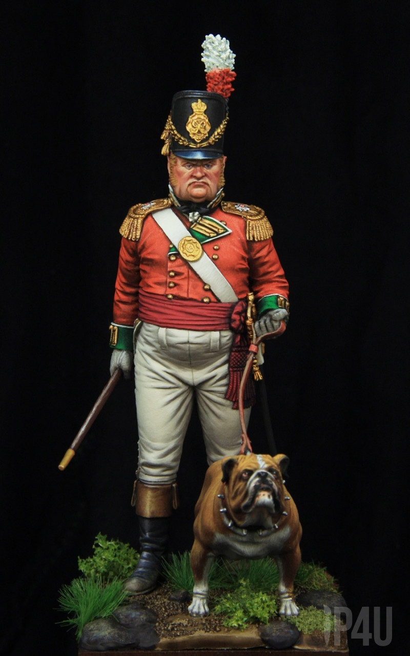 British Infantry Officer 1810, 75mm от Castle Miniatures, боксарт image 1