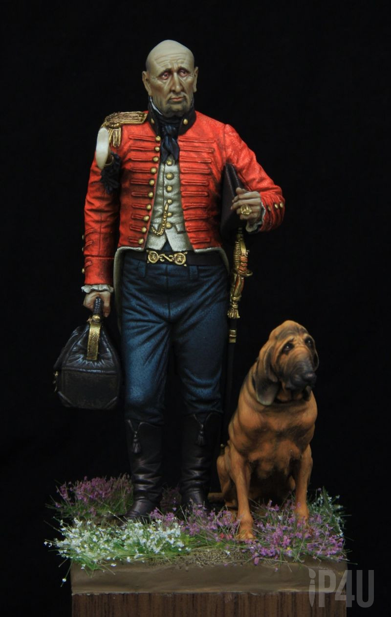 British Staff Surgeon 1810, 75mm от Castle Miniatures, боксарт image 2