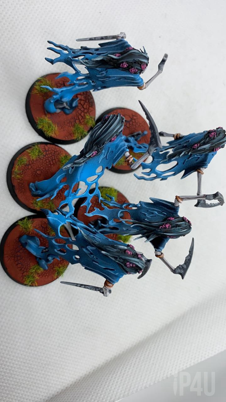 Dreadscythe Harridans (AoS) image 7