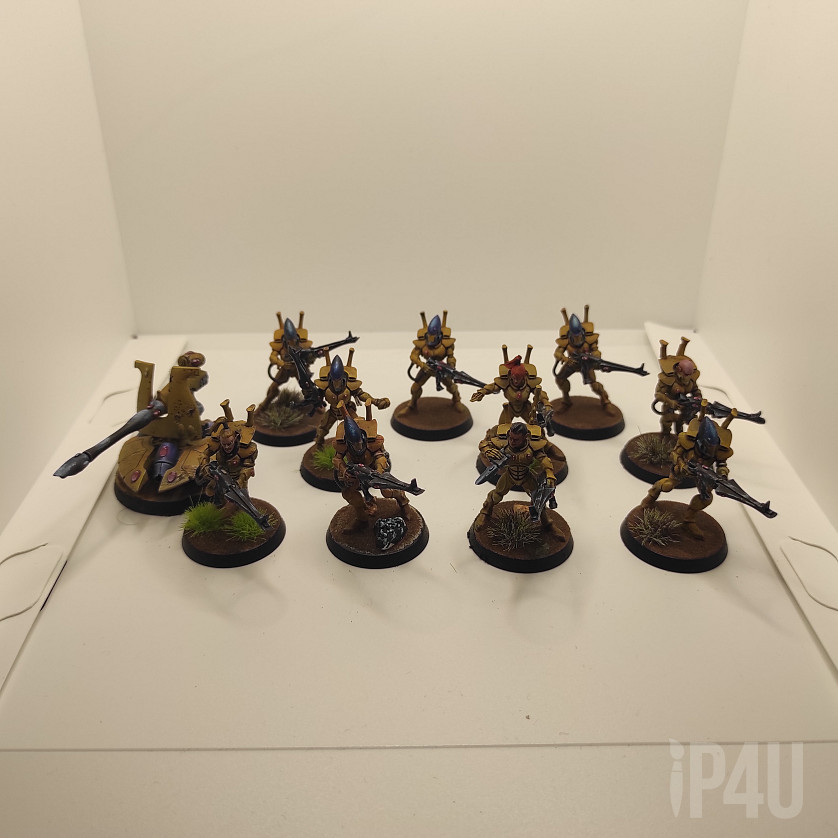 Aeldari Iyanden Guardians image 1