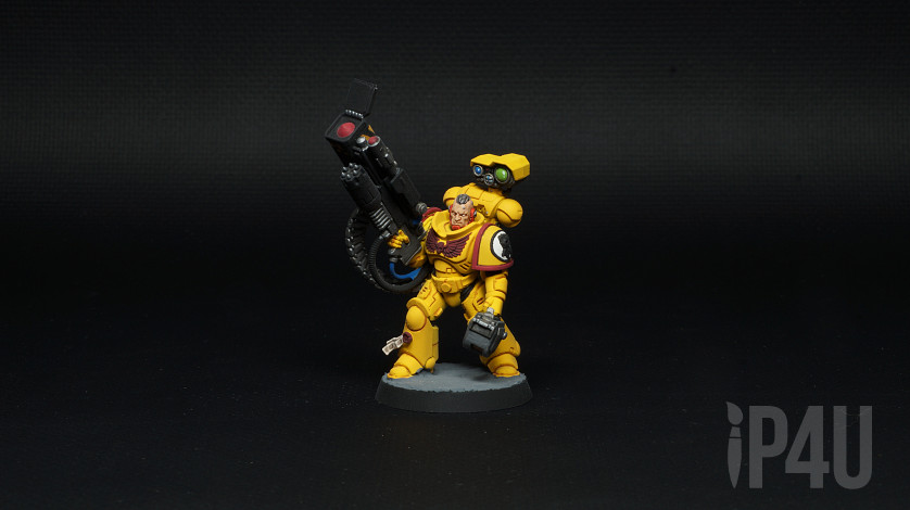 Imperial fists Desolation Squad, игровой покрас image 6