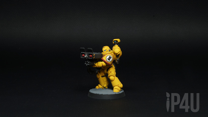 Imperial fists Desolation Squad, игровой покрас image 2