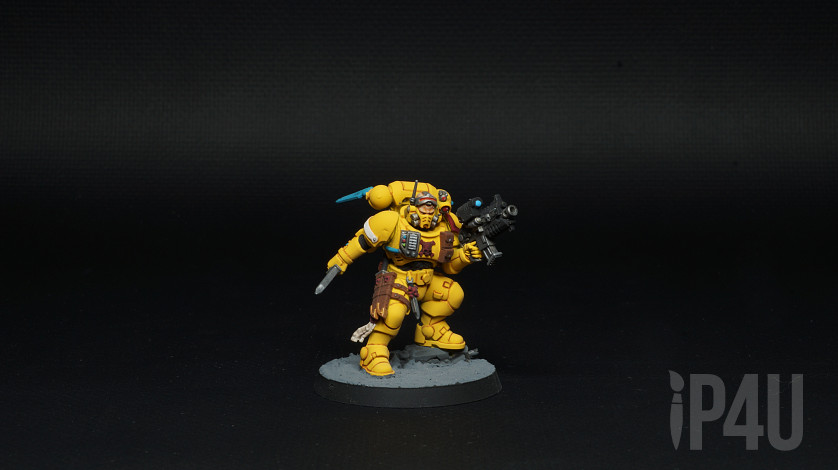 Imperial fists Desolation Squad, игровой покрас image 7