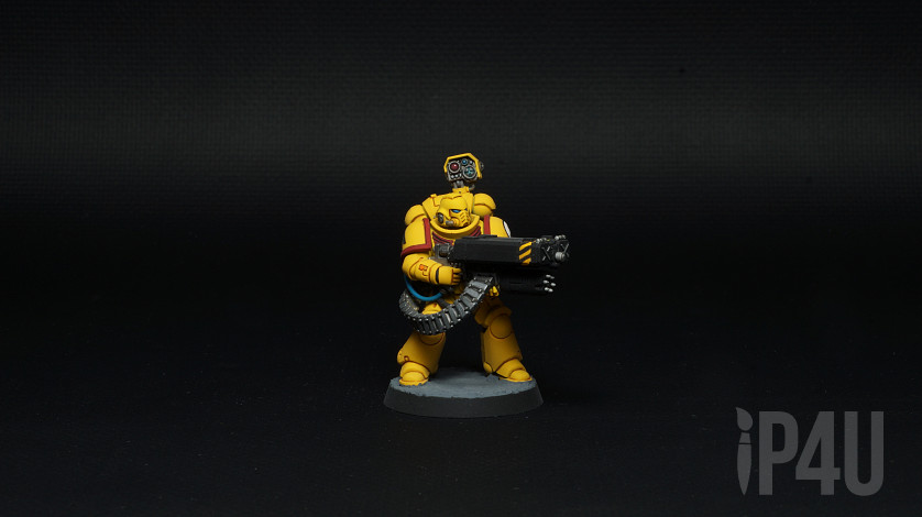 Imperial fists Desolation Squad, игровой покрас image 3