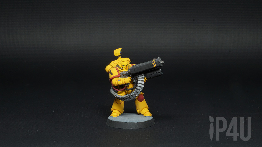 Imperial fists Desolation Squad, игровой покрас image 5