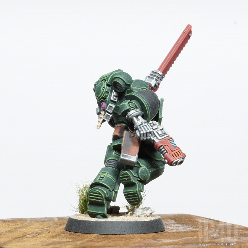 Dark angels Primaris Assault Intercessor image 2