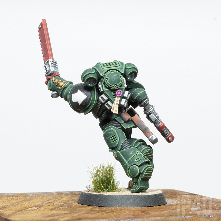 Dark angels Primaris Assault Intercessor image 4