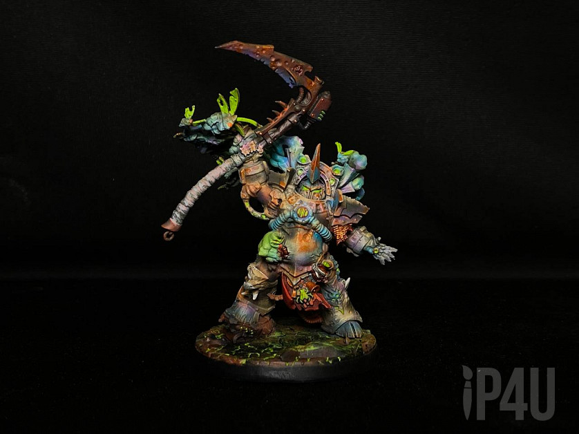 Typhus image 1