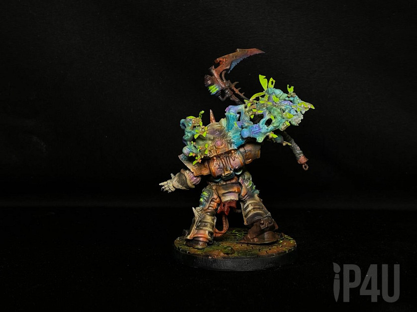 Typhus image 4