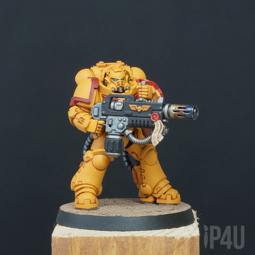 Imperial Fists Primaris Eradicators image 3