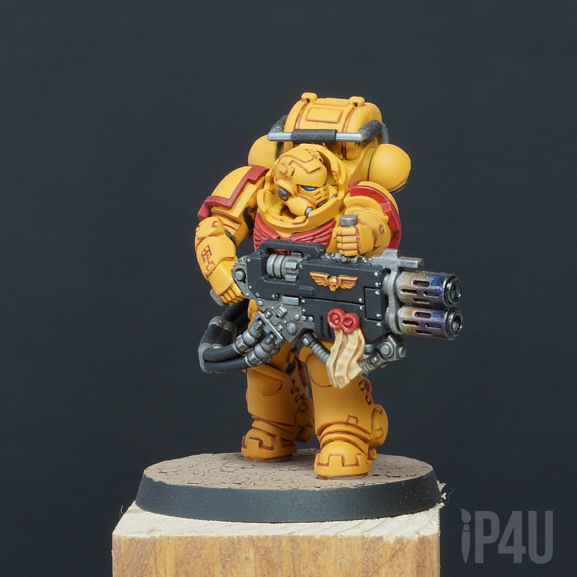 Imperial Fists Primaris Eradicators image 1
