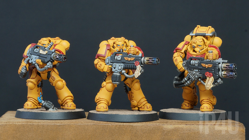 Imperial Fists Primaris Eradicators image 7