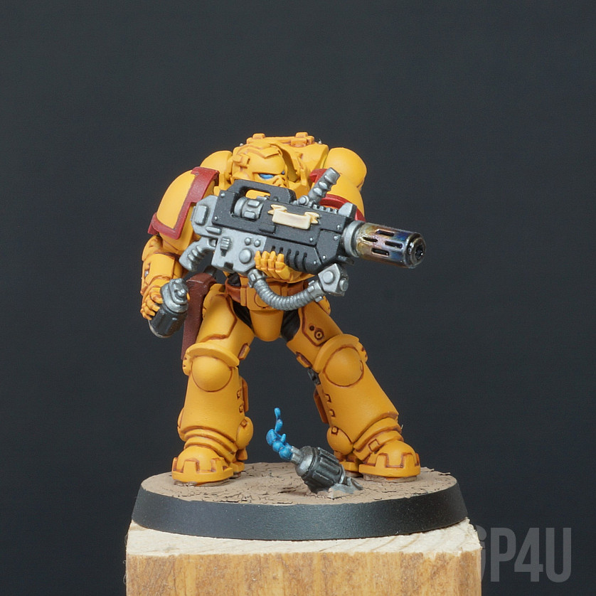 Imperial Fists Primaris Eradicators image 5