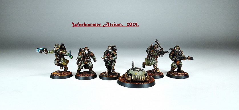 Warhammer 40,000. Krieg Combat Engineers. image 1