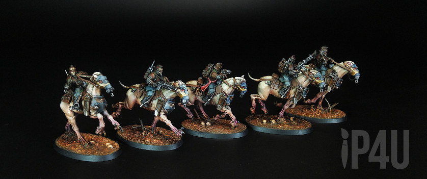 Warhammer 40,000. Death Korps of Krieg. Death Riders. New and Old. image 7
