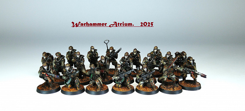 Warhammer 40,000. Death Korps Grenadier. Battleline. image 1