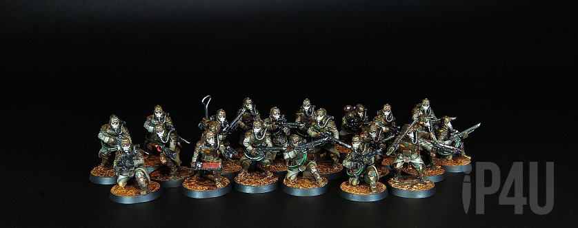 Warhammer 40,000. Death Korps Grenadier. Battleline. image 5