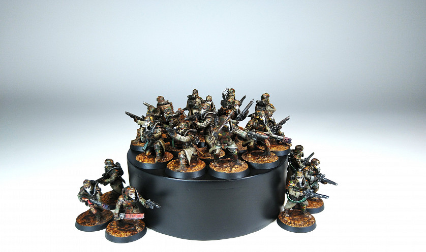 Warhammer 40,000. Death Korps Grenadier. Battleline. image 3