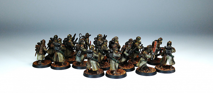 Warhammer 40,000. Death Korps Grenadier. Battleline. image 2