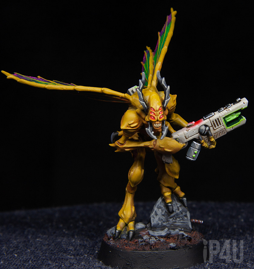 КТ Wespidstingwings image 5