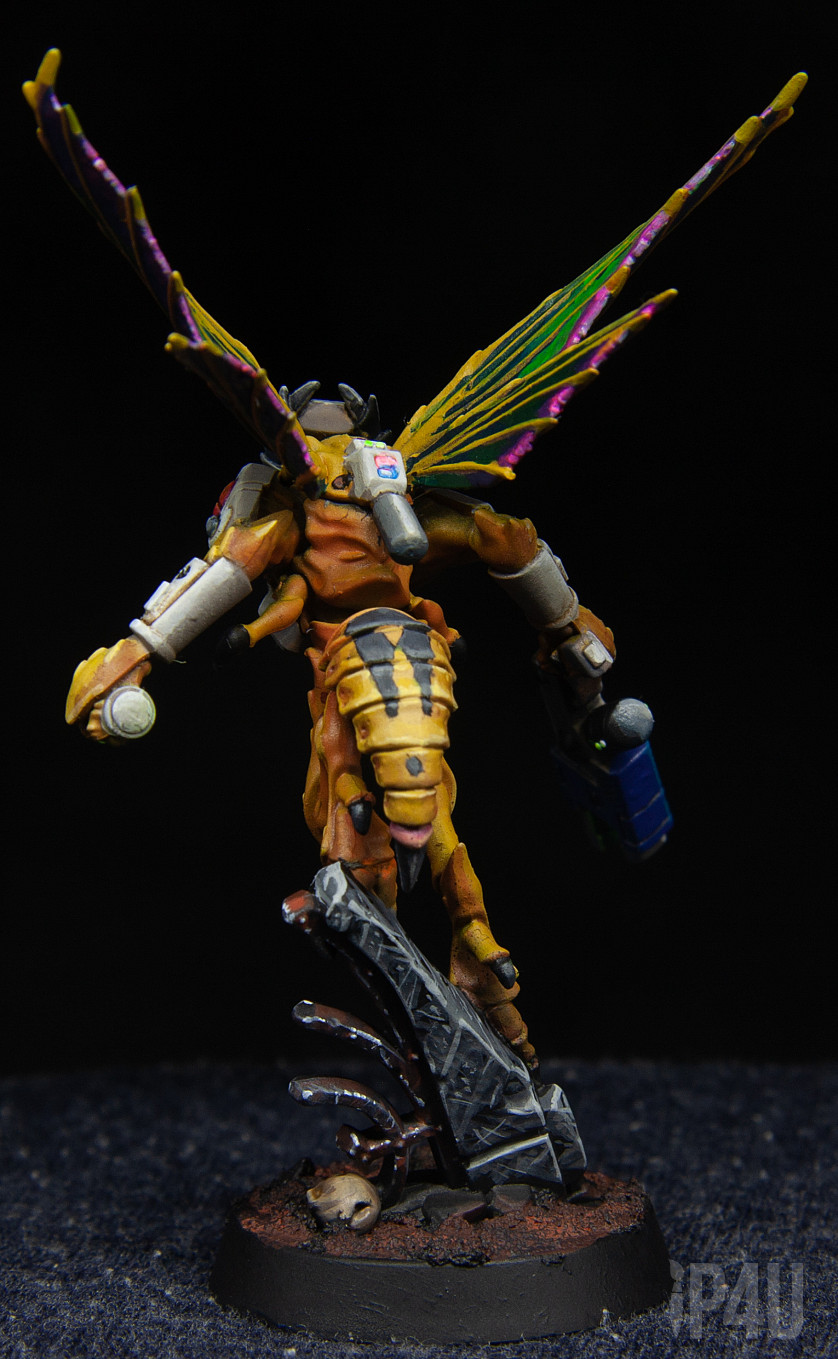КТ Wespidstingwings image 8
