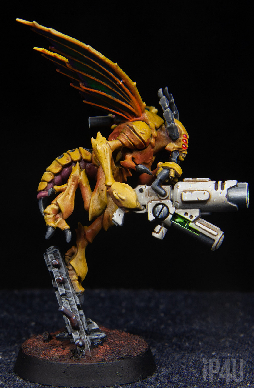 КТ Wespidstingwings image 3