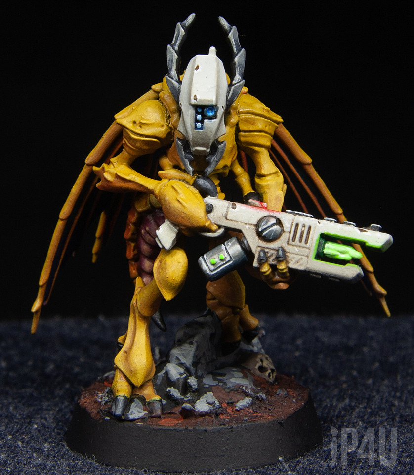 КТ Wespidstingwings image 6