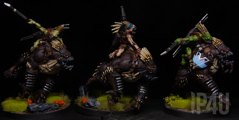 Крутоксы Тау image 2