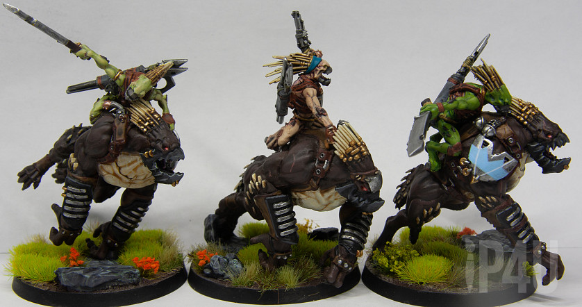 Крутоксы Тау image 3