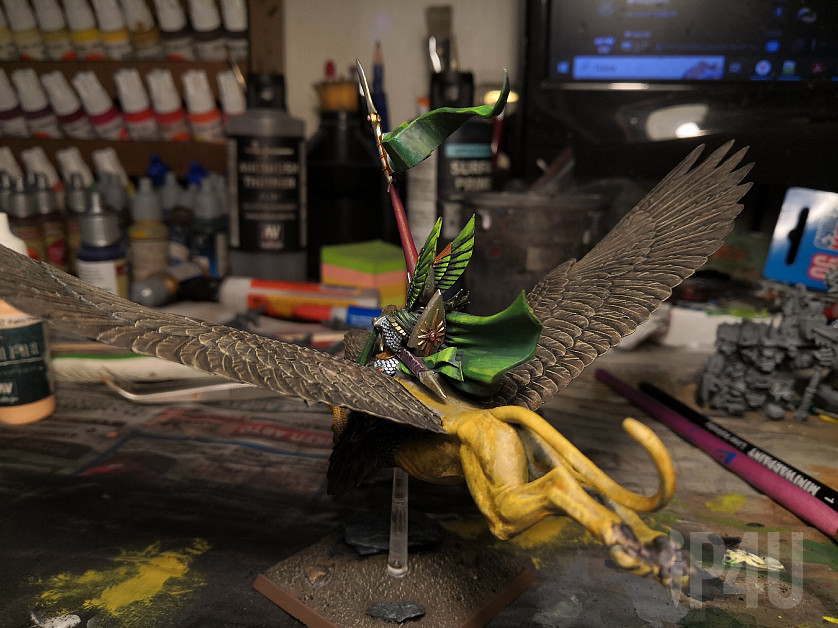 Принц эльф на орле image 1