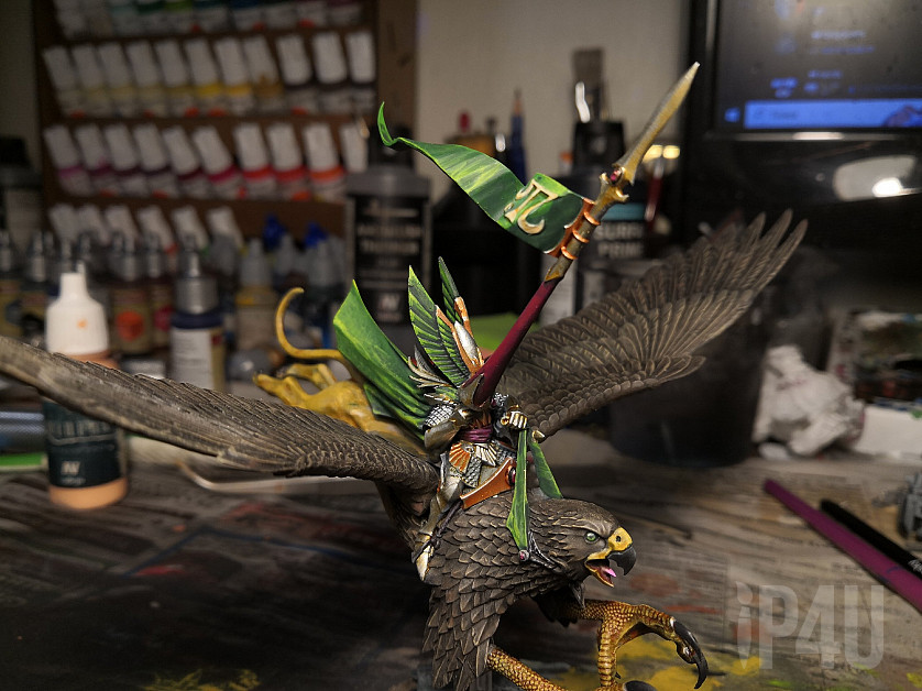 Принц эльф на орле image 3