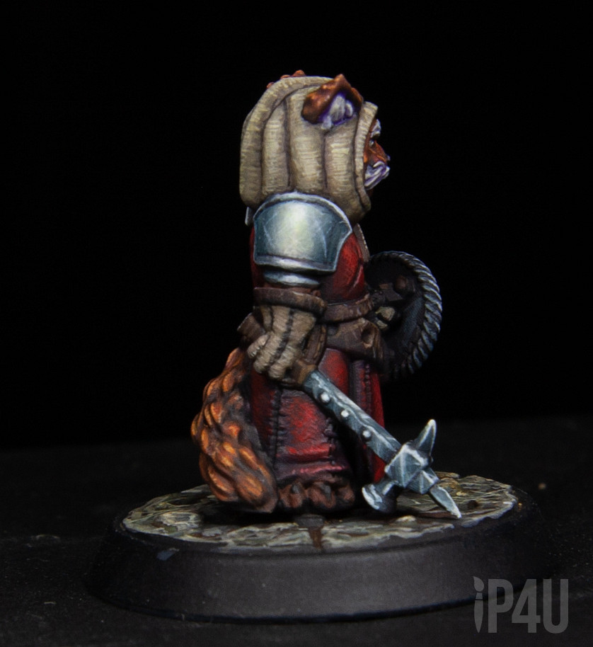 Кот воитель image 4