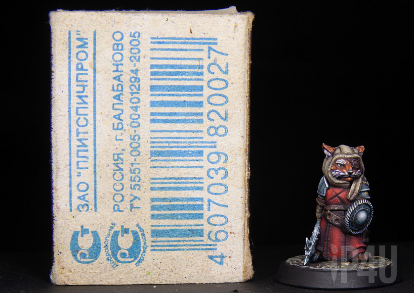 Кот воитель image 5