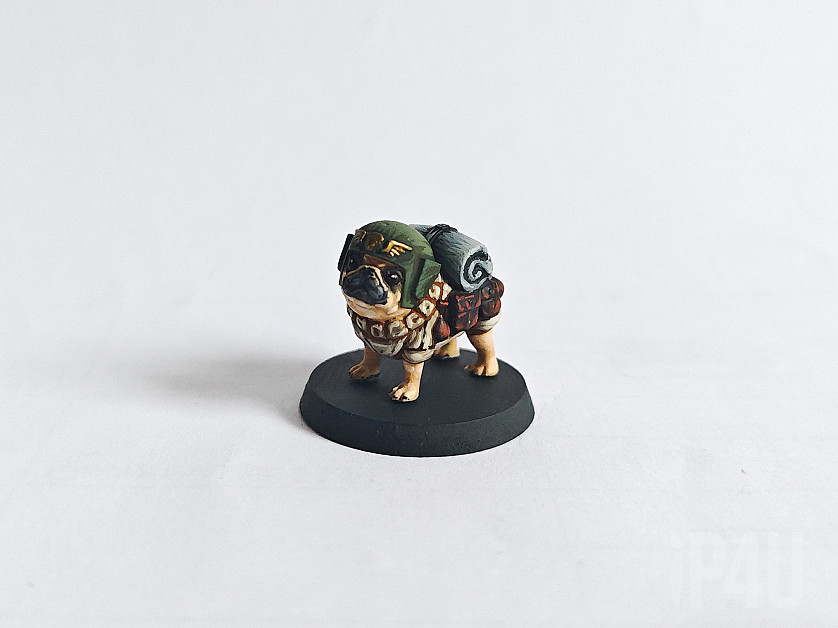 Dogs Militarum image 1