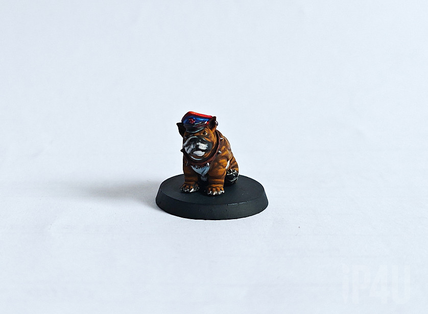 Dogs Militarum image 3
